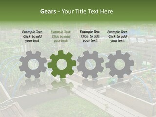A Garden Filled With Lots Of Green Plants PowerPoint Template