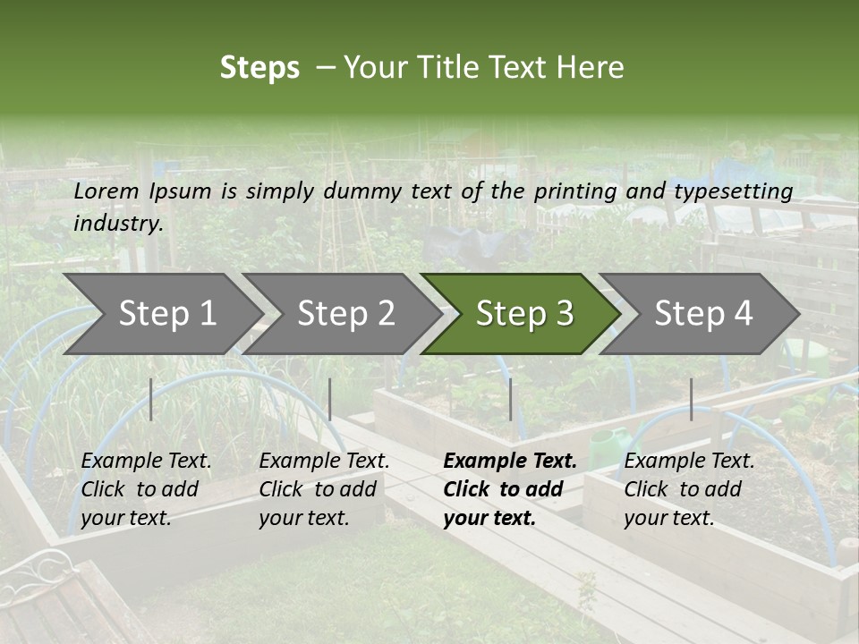 A Garden Filled With Lots Of Green Plants PowerPoint Template