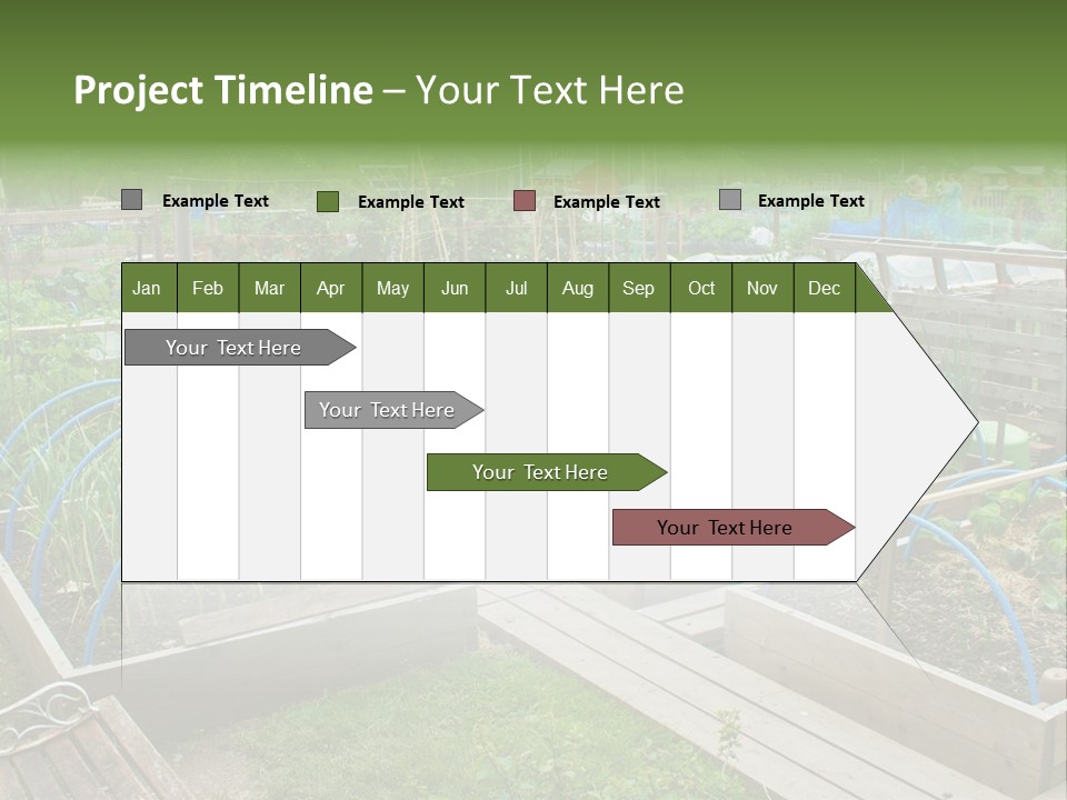 A Garden Filled With Lots Of Green Plants PowerPoint Template
