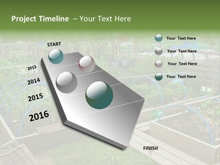 A Garden Filled With Lots Of Green Plants PowerPoint Template