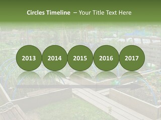 A Garden Filled With Lots Of Green Plants PowerPoint Template