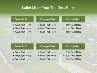 A Garden Filled With Lots Of Green Plants PowerPoint Template