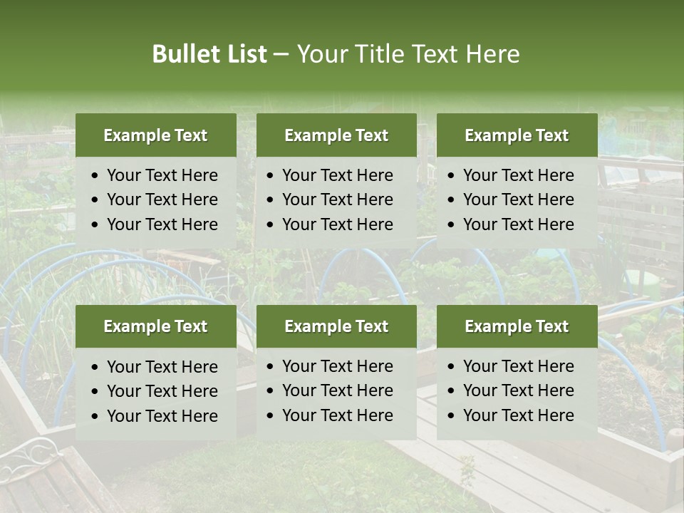 A Garden Filled With Lots Of Green Plants PowerPoint Template