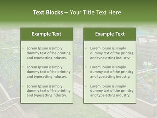 A Garden Filled With Lots Of Green Plants PowerPoint Template