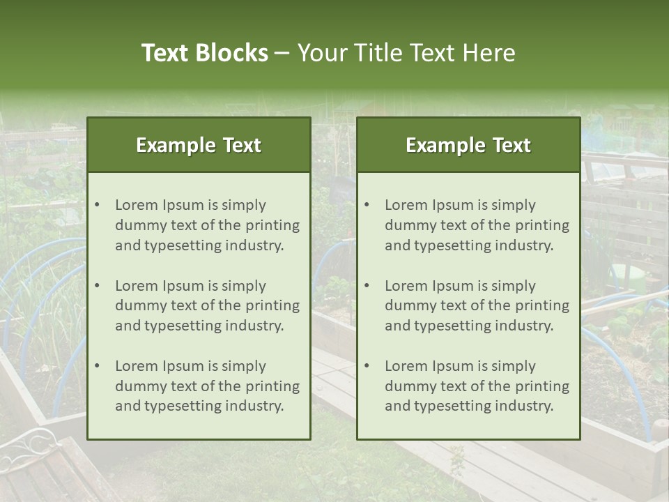 A Garden Filled With Lots Of Green Plants PowerPoint Template