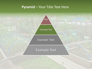 A Garden Filled With Lots Of Green Plants PowerPoint Template