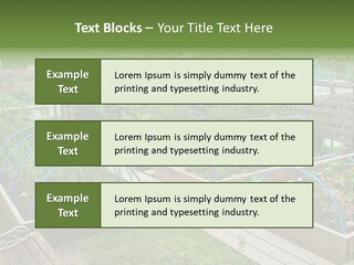 A Garden Filled With Lots Of Green Plants PowerPoint Template