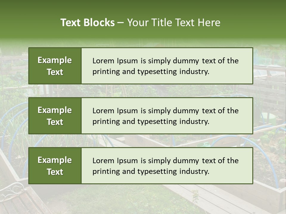 A Garden Filled With Lots Of Green Plants PowerPoint Template