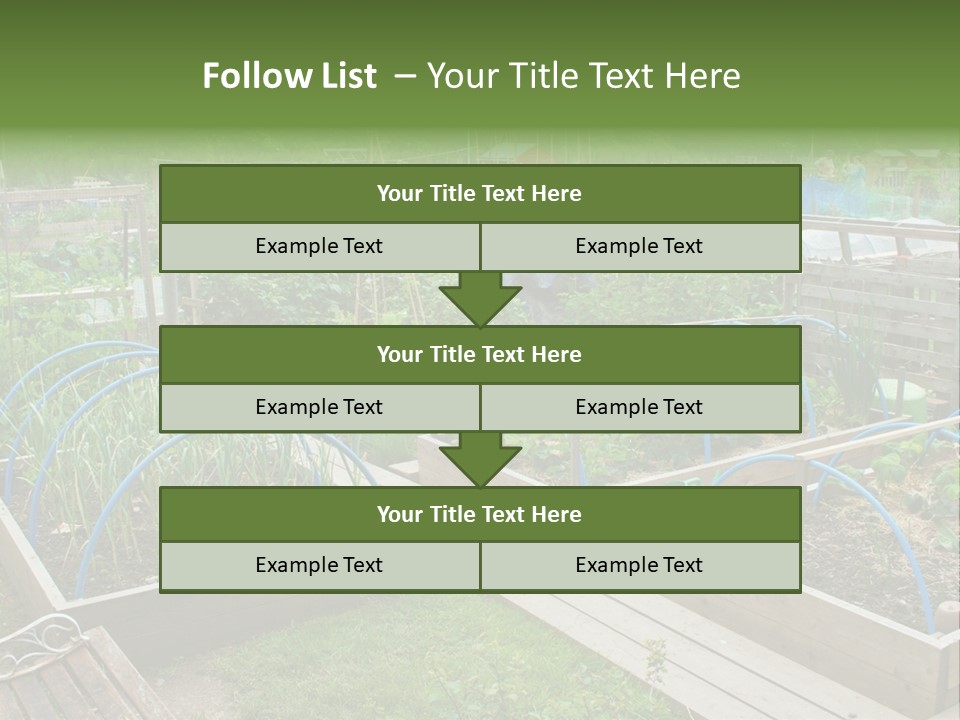 A Garden Filled With Lots Of Green Plants PowerPoint Template