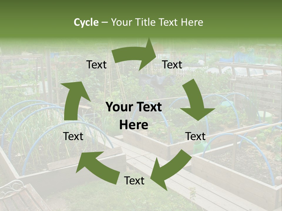 A Garden Filled With Lots Of Green Plants PowerPoint Template