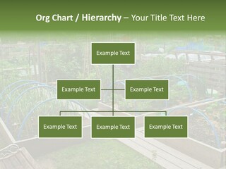 A Garden Filled With Lots Of Green Plants PowerPoint Template
