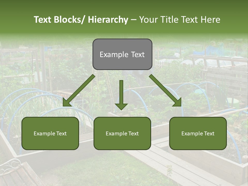 A Garden Filled With Lots Of Green Plants PowerPoint Template