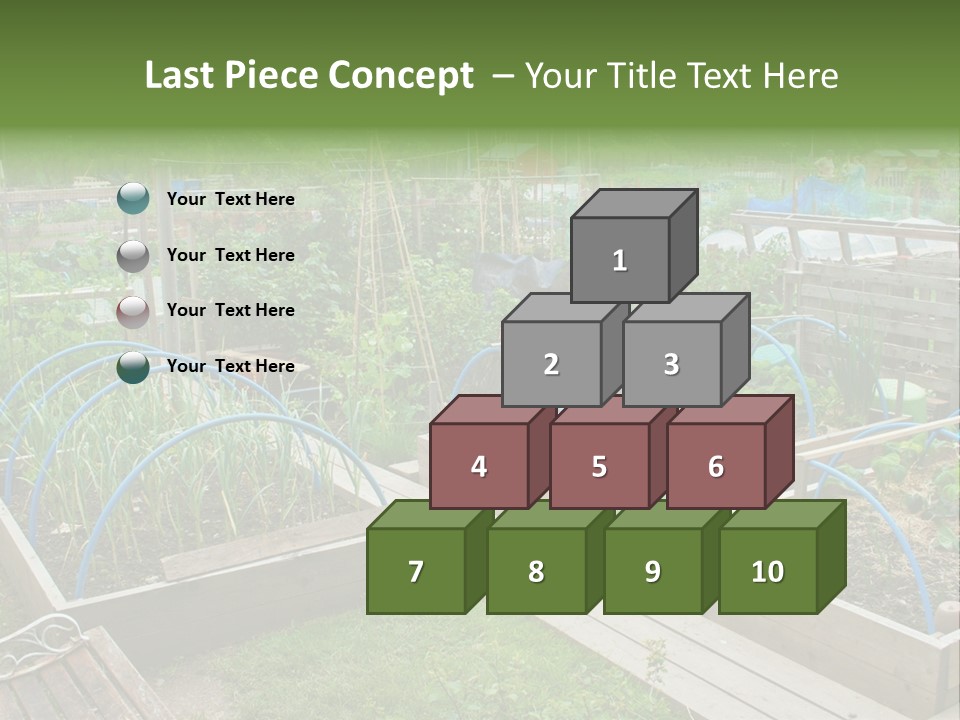 A Garden Filled With Lots Of Green Plants PowerPoint Template