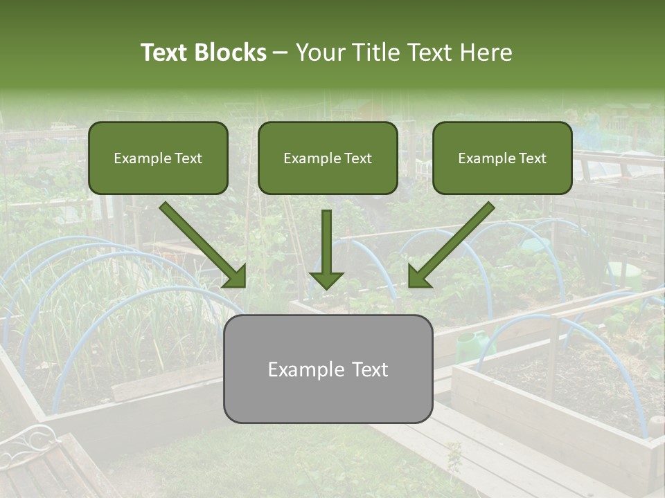 A Garden Filled With Lots Of Green Plants PowerPoint Template