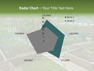 A Garden Filled With Lots Of Green Plants PowerPoint Template