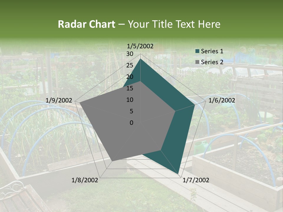 A Garden Filled With Lots Of Green Plants PowerPoint Template
