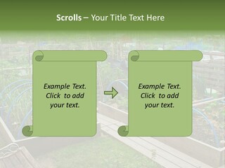 A Garden Filled With Lots Of Green Plants PowerPoint Template