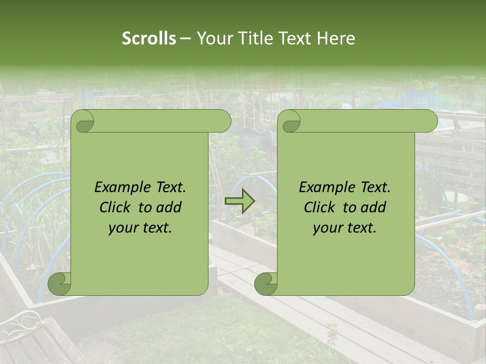 A Garden Filled With Lots Of Green Plants PowerPoint Template
