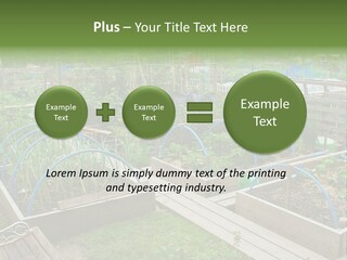A Garden Filled With Lots Of Green Plants PowerPoint Template