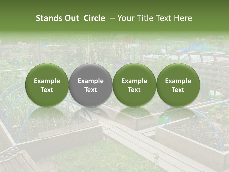 A Garden Filled With Lots Of Green Plants PowerPoint Template