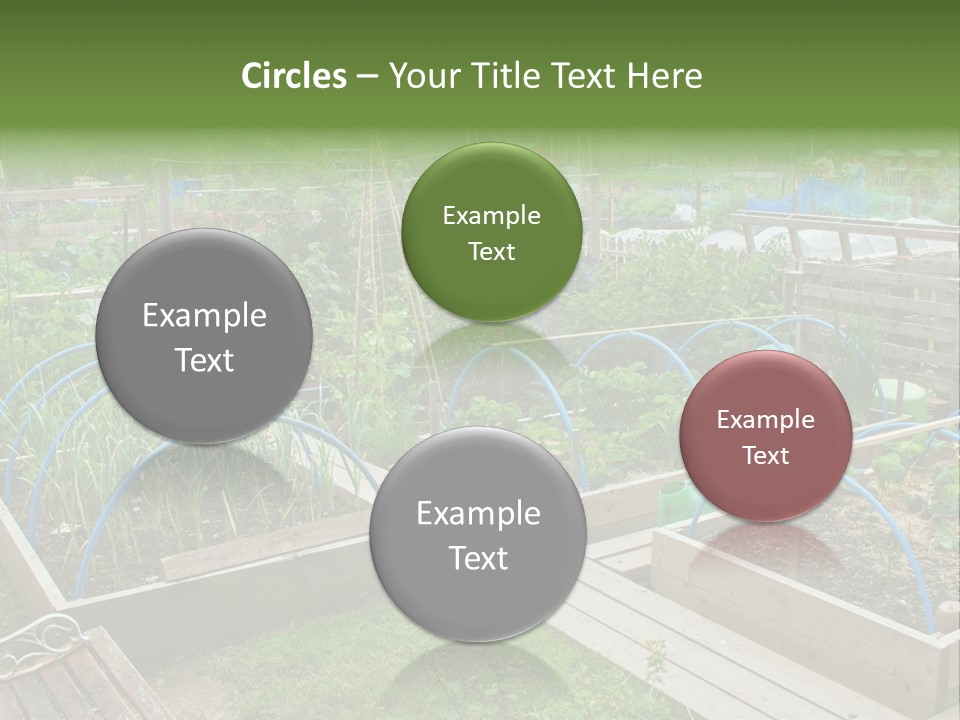 A Garden Filled With Lots Of Green Plants PowerPoint Template
