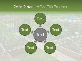 A Garden Filled With Lots Of Green Plants PowerPoint Template