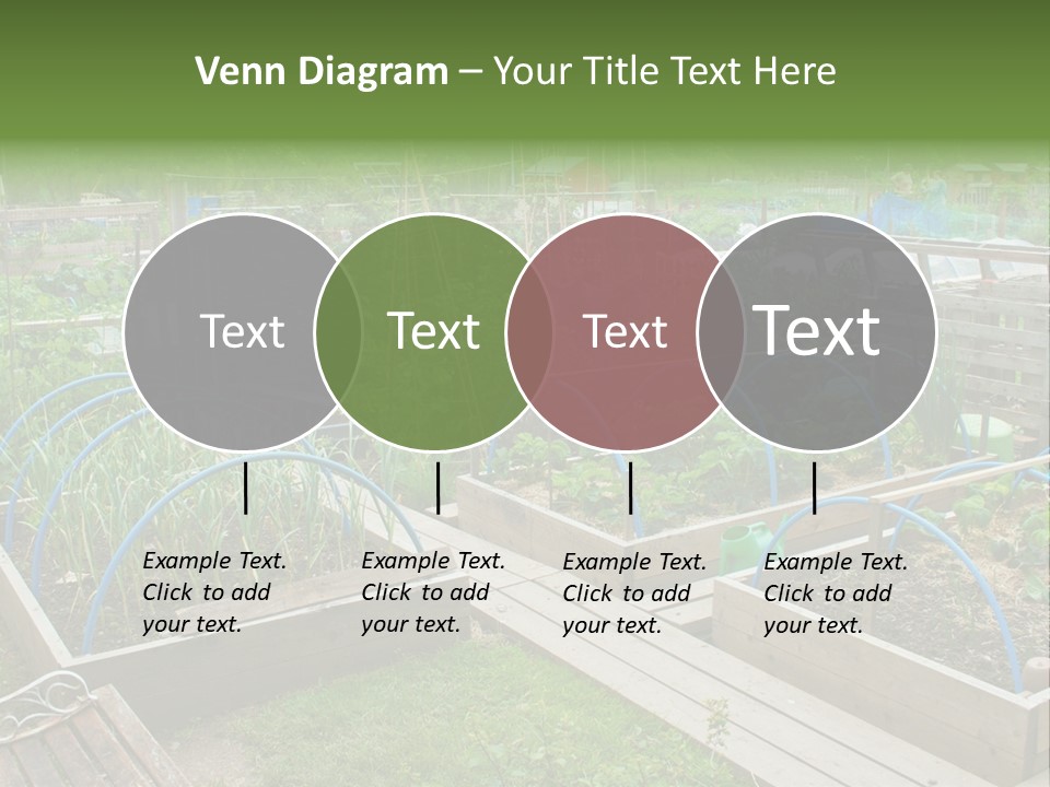 A Garden Filled With Lots Of Green Plants PowerPoint Template