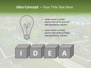 A Garden Filled With Lots Of Green Plants PowerPoint Template
