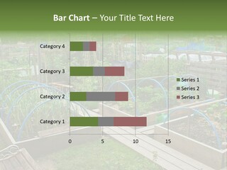 A Garden Filled With Lots Of Green Plants PowerPoint Template