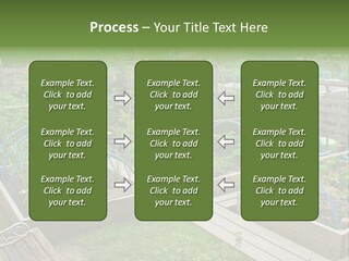 A Garden Filled With Lots Of Green Plants PowerPoint Template