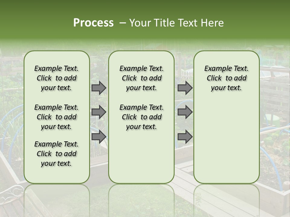 A Garden Filled With Lots Of Green Plants PowerPoint Template