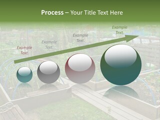 A Garden Filled With Lots Of Green Plants PowerPoint Template