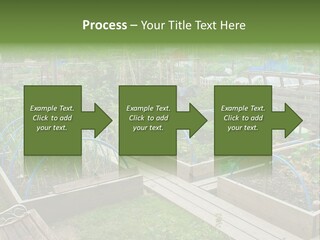 A Garden Filled With Lots Of Green Plants PowerPoint Template