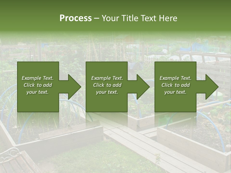 A Garden Filled With Lots Of Green Plants PowerPoint Template
