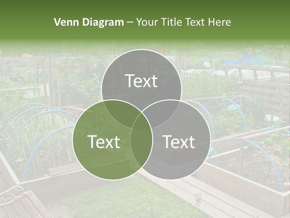 A Garden Filled With Lots Of Green Plants PowerPoint Template