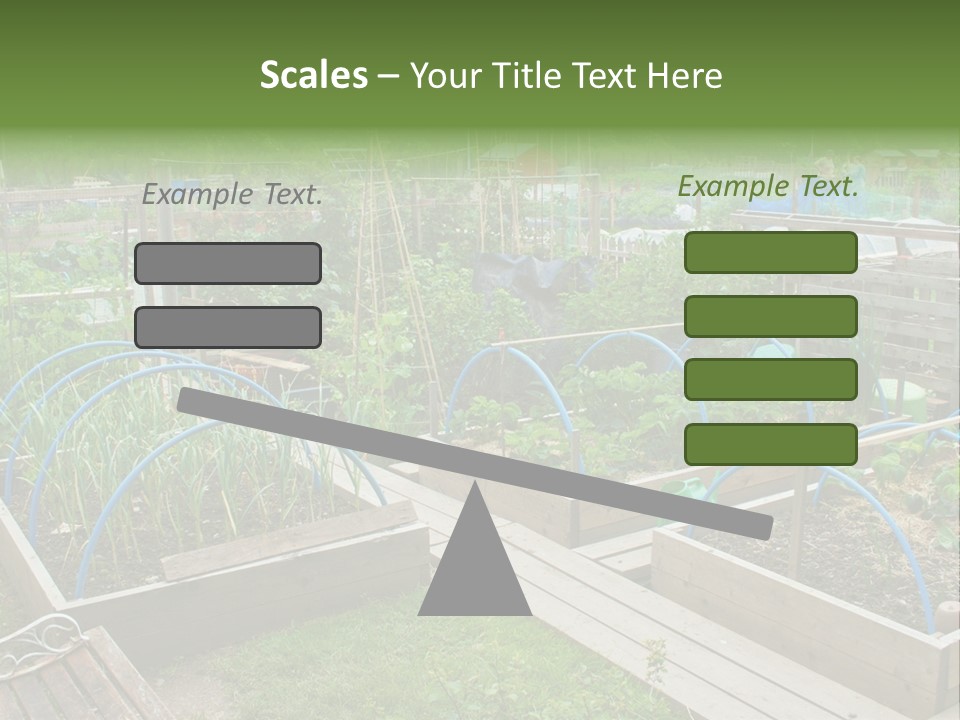 A Garden Filled With Lots Of Green Plants PowerPoint Template