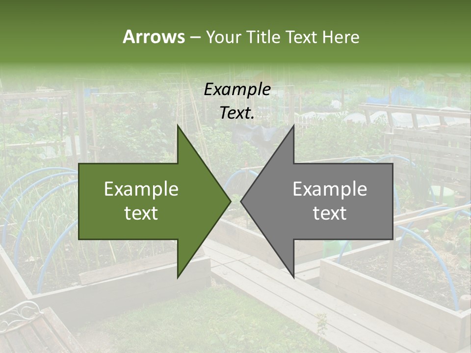 A Garden Filled With Lots Of Green Plants PowerPoint Template
