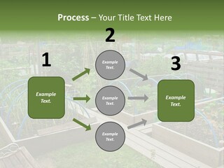 A Garden Filled With Lots Of Green Plants PowerPoint Template
