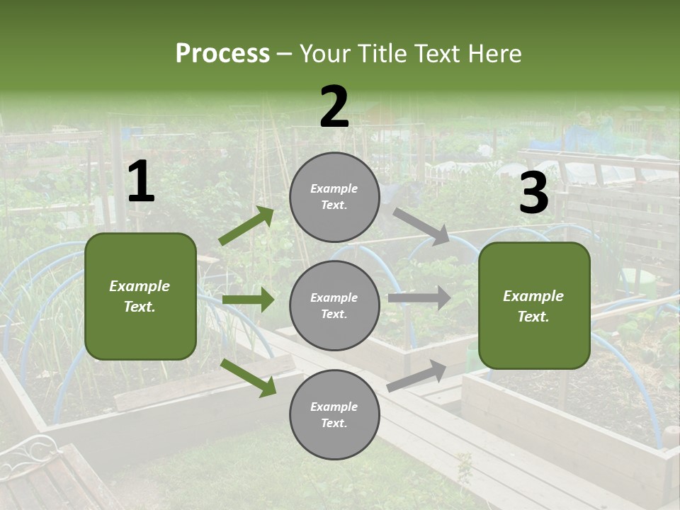A Garden Filled With Lots Of Green Plants PowerPoint Template