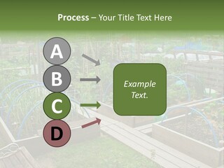 A Garden Filled With Lots Of Green Plants PowerPoint Template