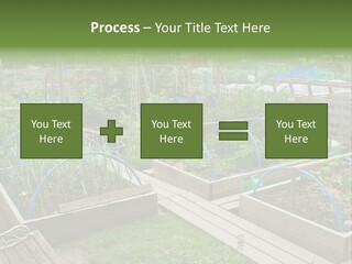 A Garden Filled With Lots Of Green Plants PowerPoint Template
