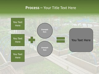 A Garden Filled With Lots Of Green Plants PowerPoint Template