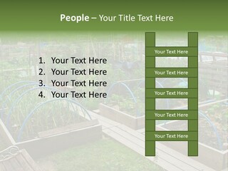 A Garden Filled With Lots Of Green Plants PowerPoint Template