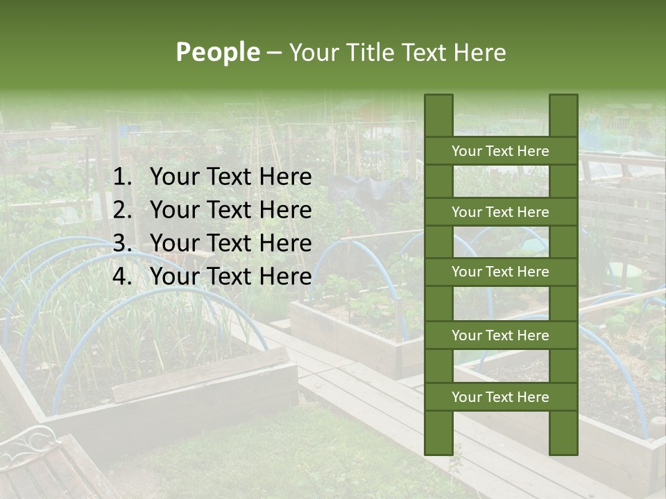 A Garden Filled With Lots Of Green Plants PowerPoint Template