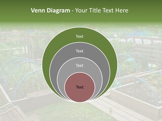 A Garden Filled With Lots Of Green Plants PowerPoint Template