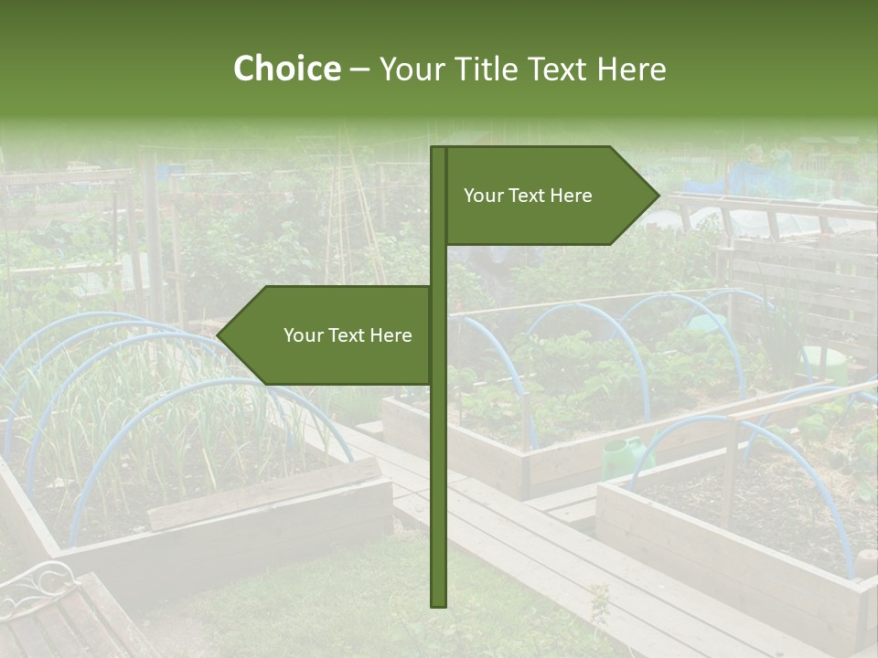 A Garden Filled With Lots Of Green Plants PowerPoint Template