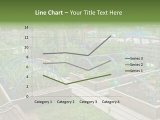 A Garden Filled With Lots Of Green Plants PowerPoint Template