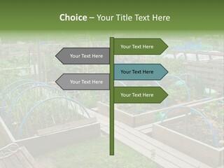 A Garden Filled With Lots Of Green Plants PowerPoint Template