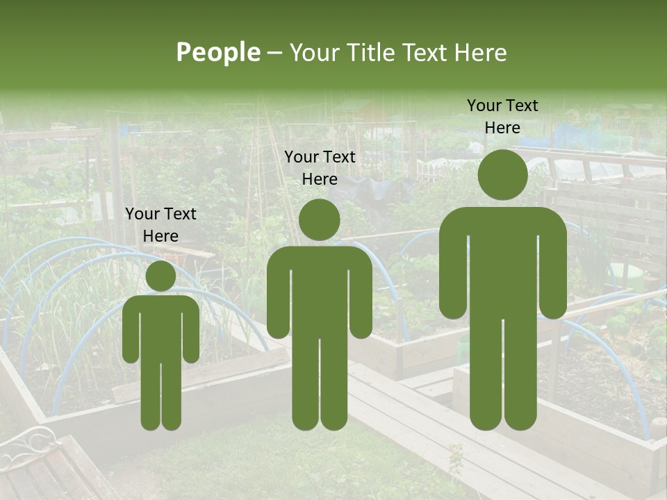 A Garden Filled With Lots Of Green Plants PowerPoint Template