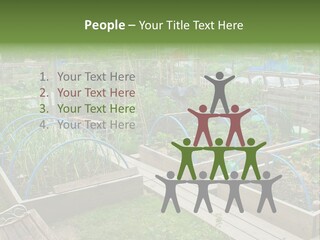 A Garden Filled With Lots Of Green Plants PowerPoint Template